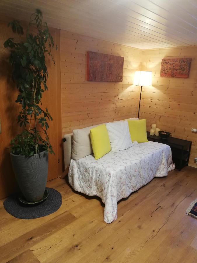 Gemütliche Wohnung in Einfamilienhaus Alberschwende Exterior foto