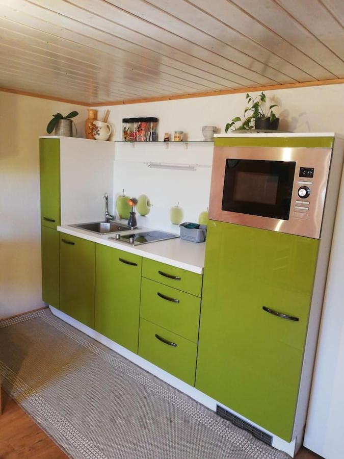 Gemütliche Wohnung in Einfamilienhaus Alberschwende Exterior foto